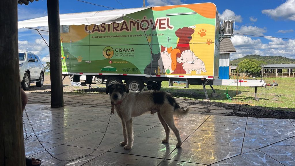 Mutirão de Castração beneficia animais em Capão Alto com apoio do Deputado Marcius Machado